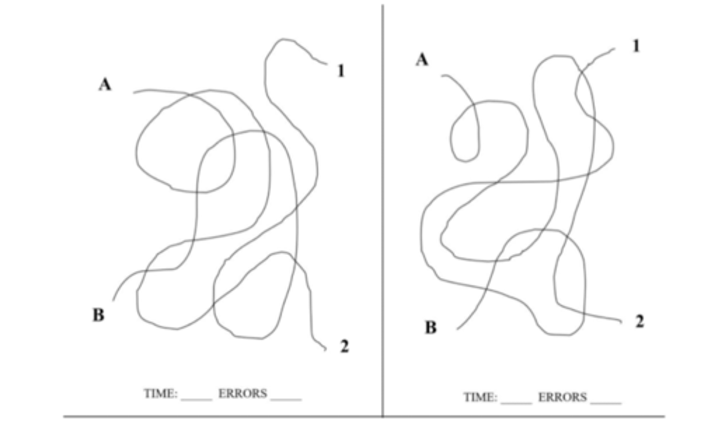 <p>- visual tracing workbook</p><p>- patch</p>