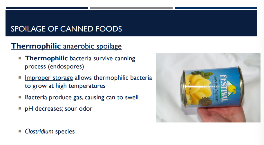 <p>Canned foods can still get spoiled. Describe <strong>Thermophilic </strong>anaerobic spoilage and the species it is associated with. </p>
