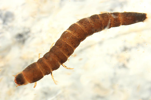 <img src="https://knowt-user-attachments.s3.amazonaws.com/b40eb6c2-23e6-412d-abb8-4bb038a78a20.jpg" data-width="100%" data-align="center"><img src="https://knowt-user-attachments.s3.amazonaws.com/6e6e90e7-5857-4e13-9f69-5a3b22f7d445.jpg" data-width="100%" data-align="center"><p></p>