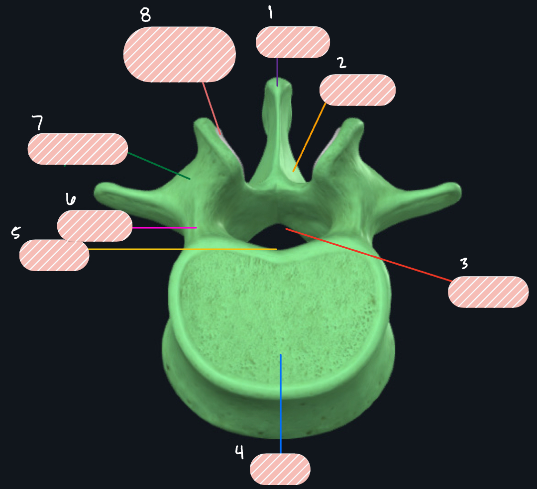 <p>Label 2</p>