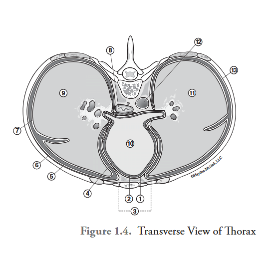 <p>What is labeled #9?</p>