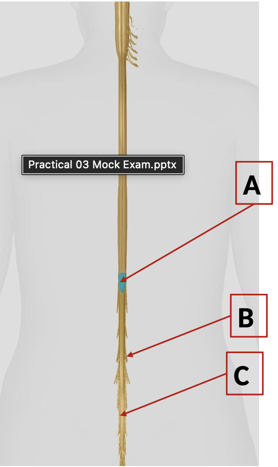 <p>what is C?</p>
