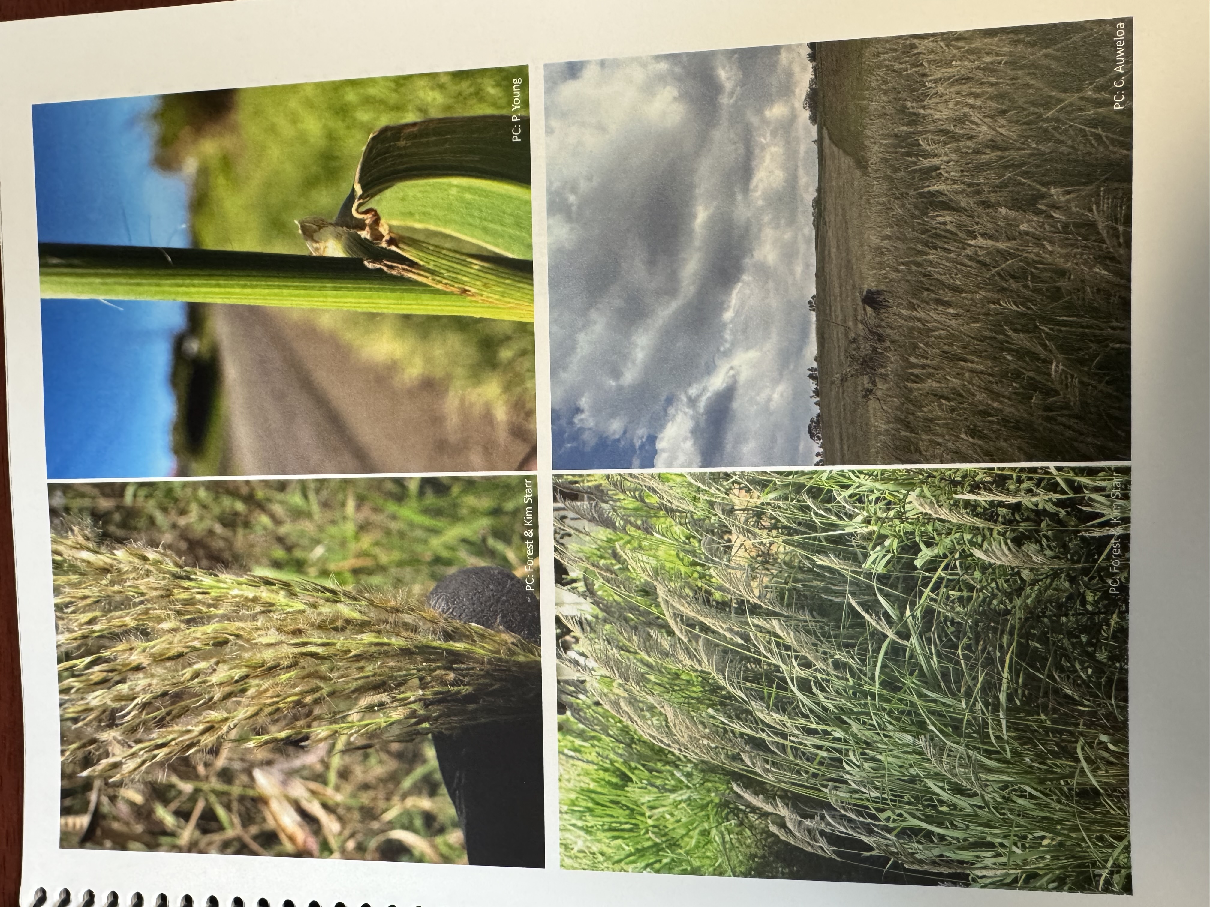 <img src="blob:null/9a1921f1-c980-4764-85d6-0b25acf89412"><p></p>