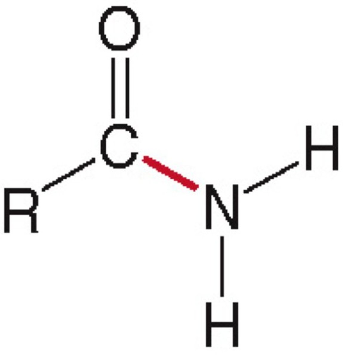 <p>Functional group -CONH₂; carbonyl (C=O) bonded to nitrogen with two H's (peptide bond in proteins is amide).</p>