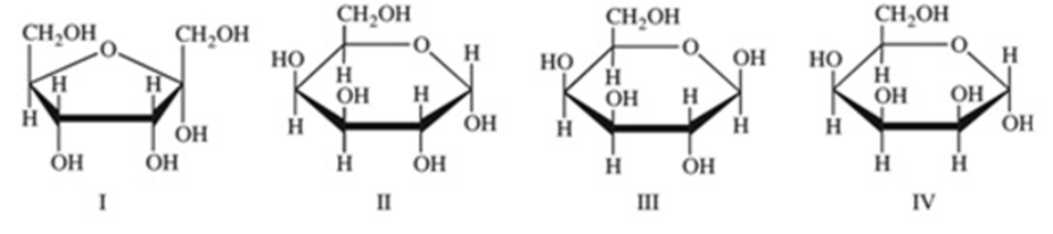 <p>Monosaccharides exist predominantly as cyclic hemiacetals. Cyclic hemiacetals have both an ⍺ and a β form. Which of the following monosaccharides are shown in the B form?</p><ul><li><p>IV only</p></li><li><p>III only</p></li><li><p>I and III</p></li><li><p>II and IV</p></li><li><p>All of the choices</p></li></ul><p></p>