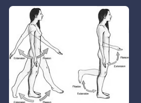 \-sagittal plane rotation

\-somersault