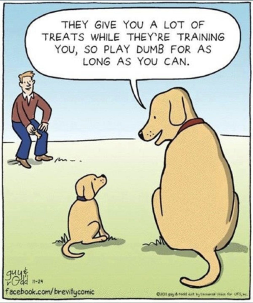 <p>reinforcing the desired response every time it occurs</p>