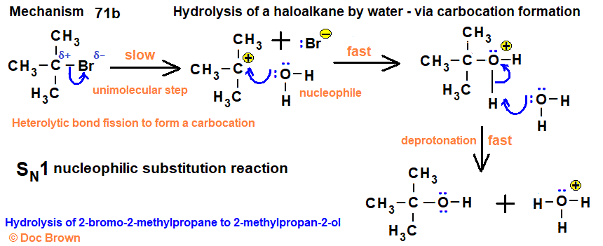 <p>-water is nucleophile, curly arrow from e- pair on O to C delta +</p><p>-halide is delta -, curly arrow from C-halogen bond to halogen</p><p>-intermediate formed</p><p>-products are alcohol, halide, H+</p>