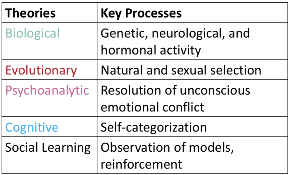 <p> Biological, evolutionary, psychoanalytic, cognitive, social learning. What are each of their key processes?</p>