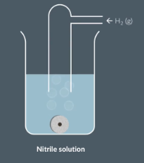 <p>Nitrile (CN) + H2 gas and caltalyst = amine </p><img src="https://lh7-rt.googleusercontent.com/docsz/AD_4nXeWdxUX2W8fhIFojB1O-NxXfGtwdczGjRr1uTVRuT14sVu9XAWwYzZTTyub-yX1oLJxlHbbj4pbIEOjdemalbiOteYW8dSjOnjg8iMJ0GoqdkHGAyp2oaghz46zyKia0p5UMrMN?key=mTvMw0O_hBV2zoPLn99lrI99" data-width="100%" data-align="center"><p><span>Nitrile in solution and add a metal catalyst (typically nickel) and bubble in hydrogen gas&nbsp;</span></p><p><br></p>