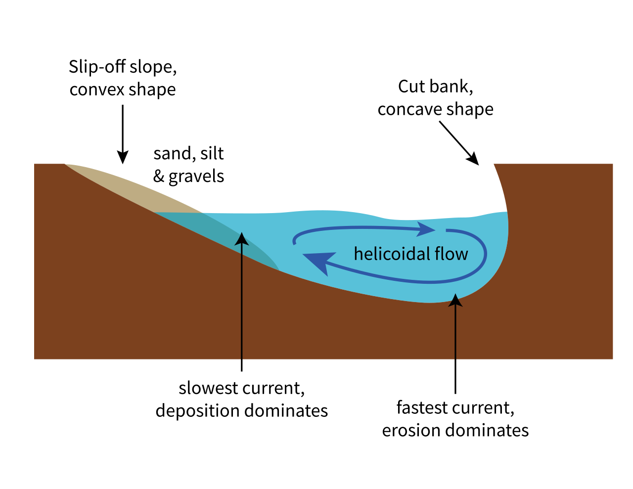 <p>Corkscrew-like flow that moves water laterally across the channel, from the outer bend (erosion) to the inner bend (depostion), especially important in meander formation.</p>
