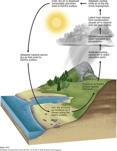 <p>response to pressure changes ( air rises → lower pressure → volume expands → cools ) </p>