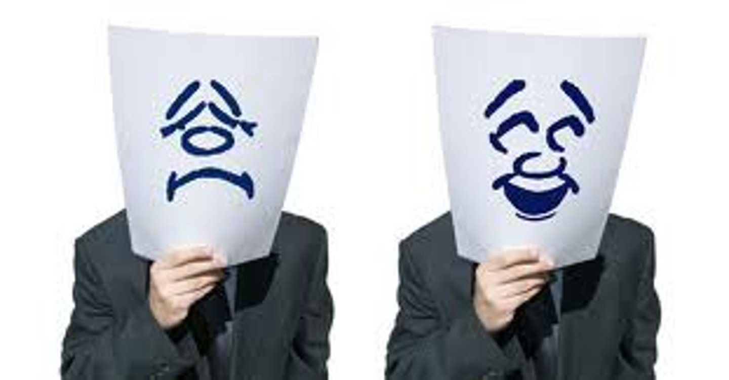 <p>attitude</p>