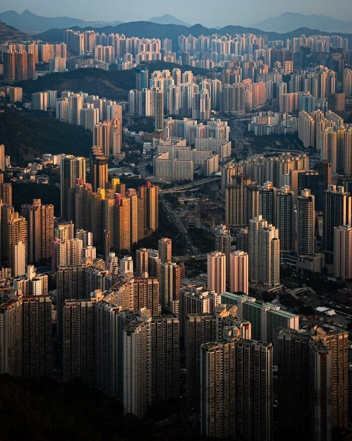 <p>rừng bê tông</p>