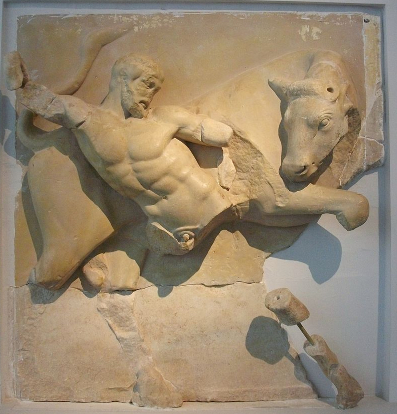 <p>How tall is this metope? And how wide? Give in metres</p>