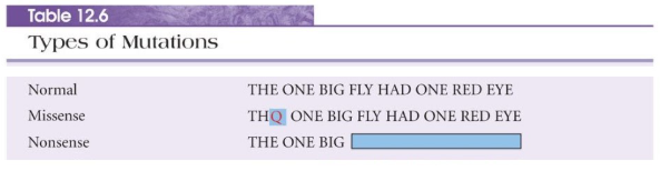 <ul><li><p>Missense mutation: a substitution in the codon that codes for an amino acid is changed to a code for a different amino acid</p></li><li><p>Nonsense mutation: a substitution in a codon that codes for a amino acid is changed to a stop codon</p></li><li><p>Silent mutation: a substitution in a codon that codes for an amino acid that doesn’t change the amino acid</p></li></ul><p></p>