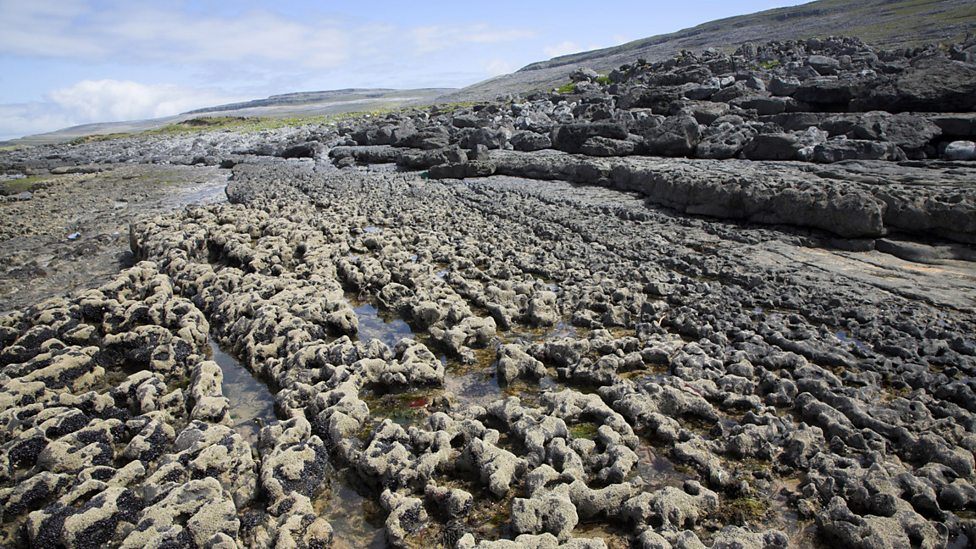 <p>cracks in rocks formed by rain as rain is slightly acidic</p>