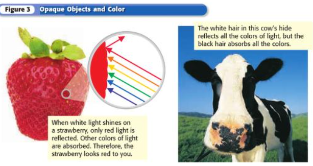 <p>Red light is reflected while orange, yellow, green, blue and purple are absorbed. </p>