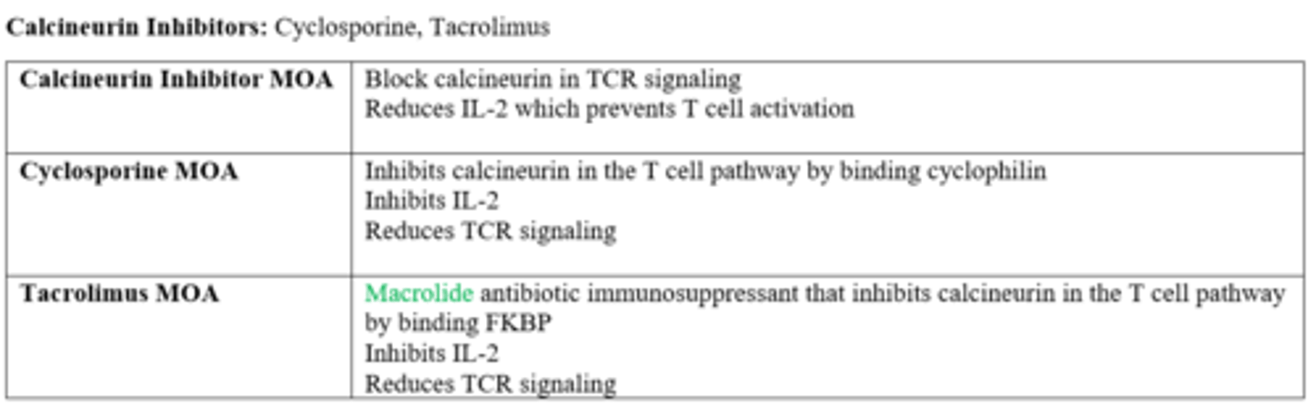 <p>c. calcineurin inhibitor that blocks T cell receptor signaling </p><p>A is the MOA of glucocorticoids in general</p><p>B is the MOA of Sirolimus</p>