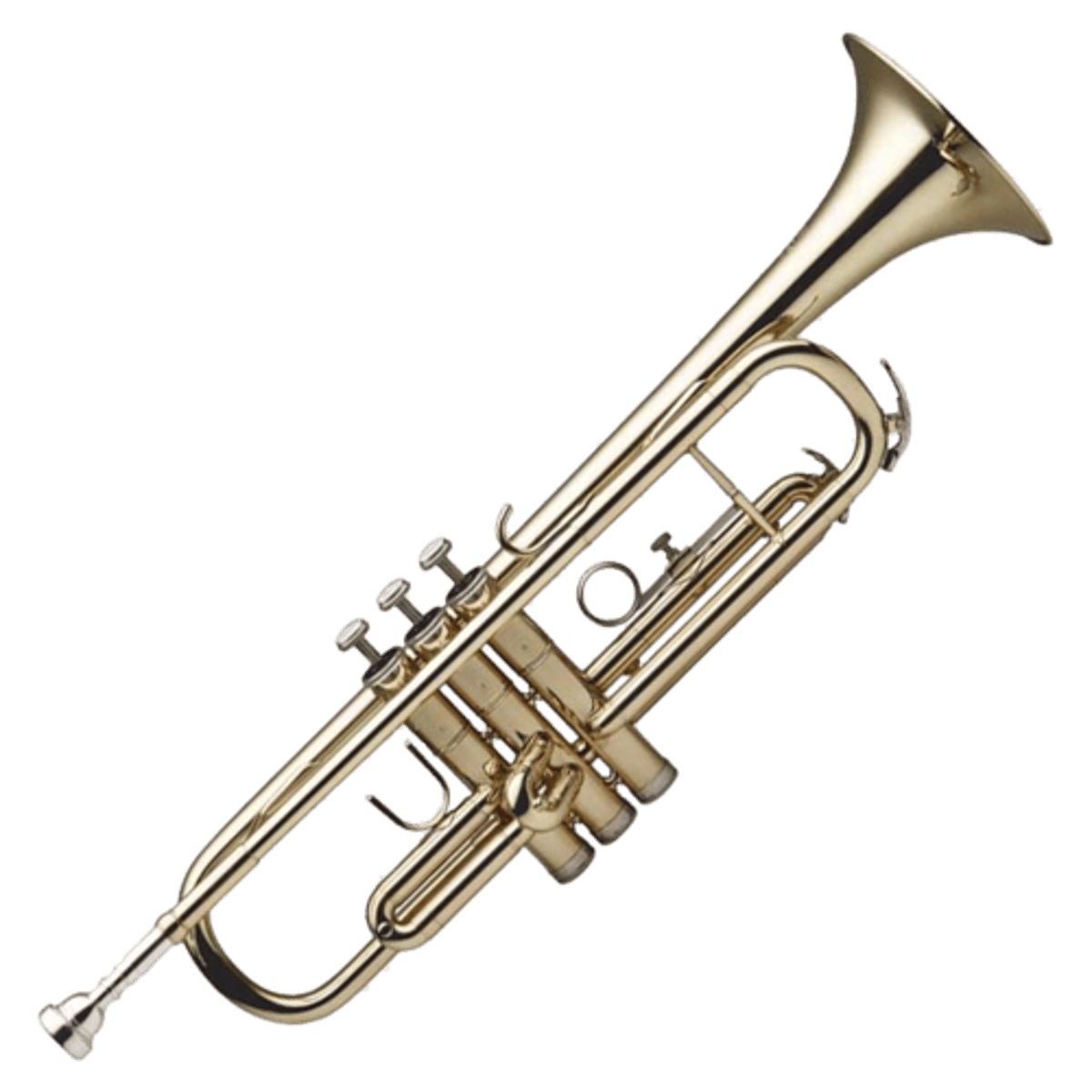 <p>trumpet</p>