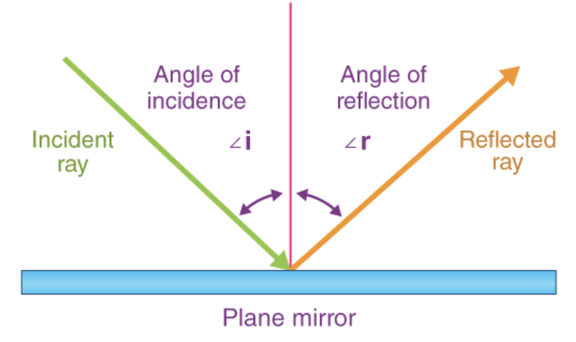 <p>angle of incidence = angle of reflection</p>
