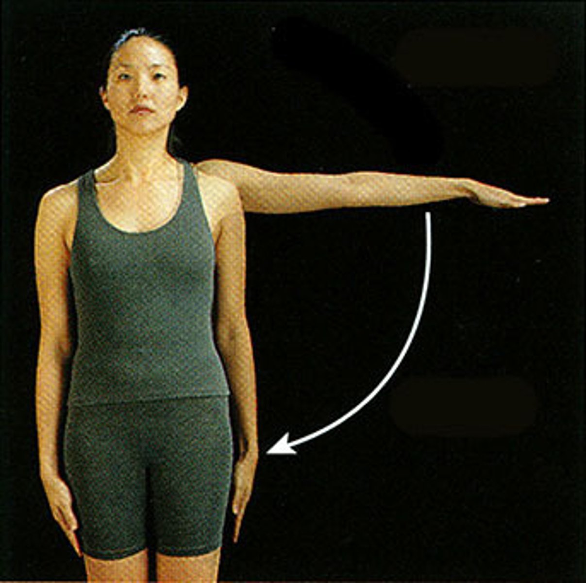 <p>movement of limb toward the midline</p>
