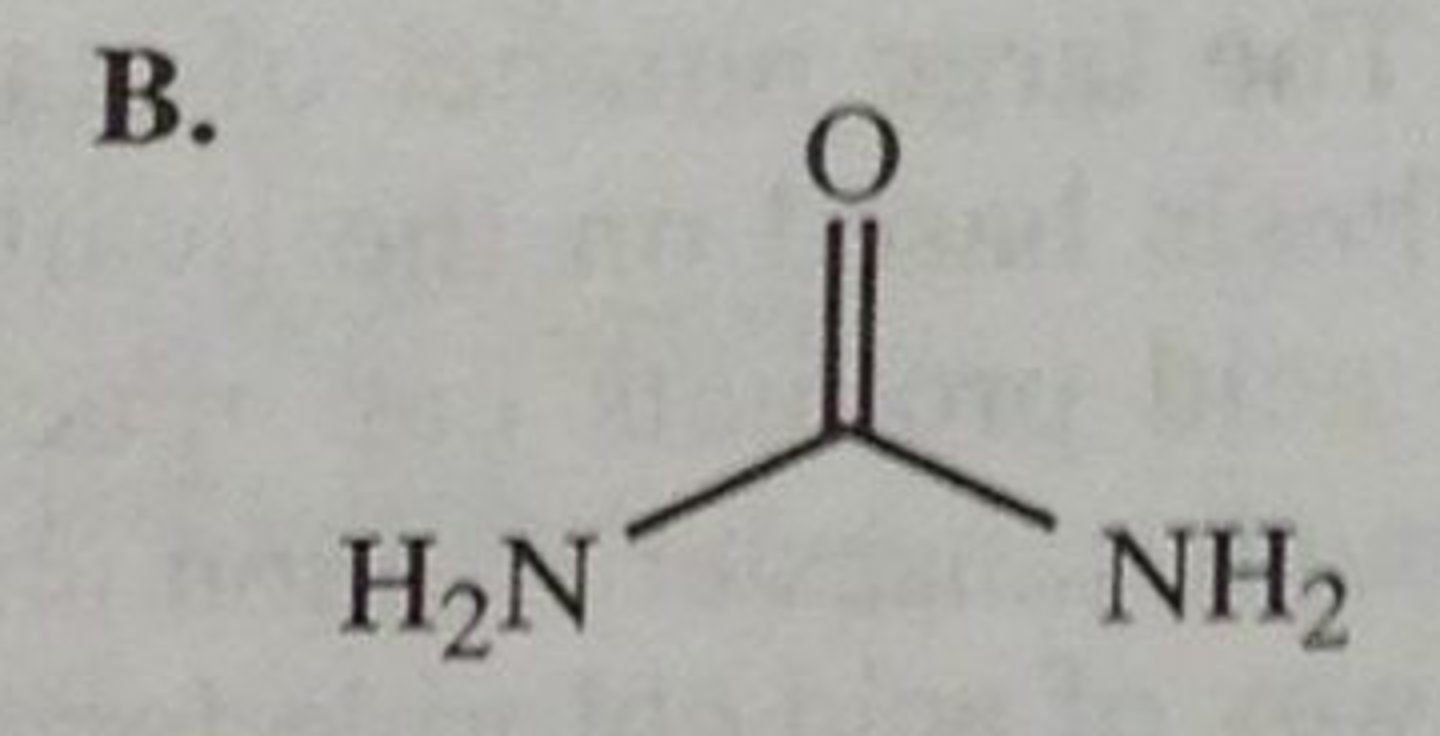 <p>carbonyl with 2 Ns</p><p>NON electrolyte</p><p>primary, secondary, tertiary</p>