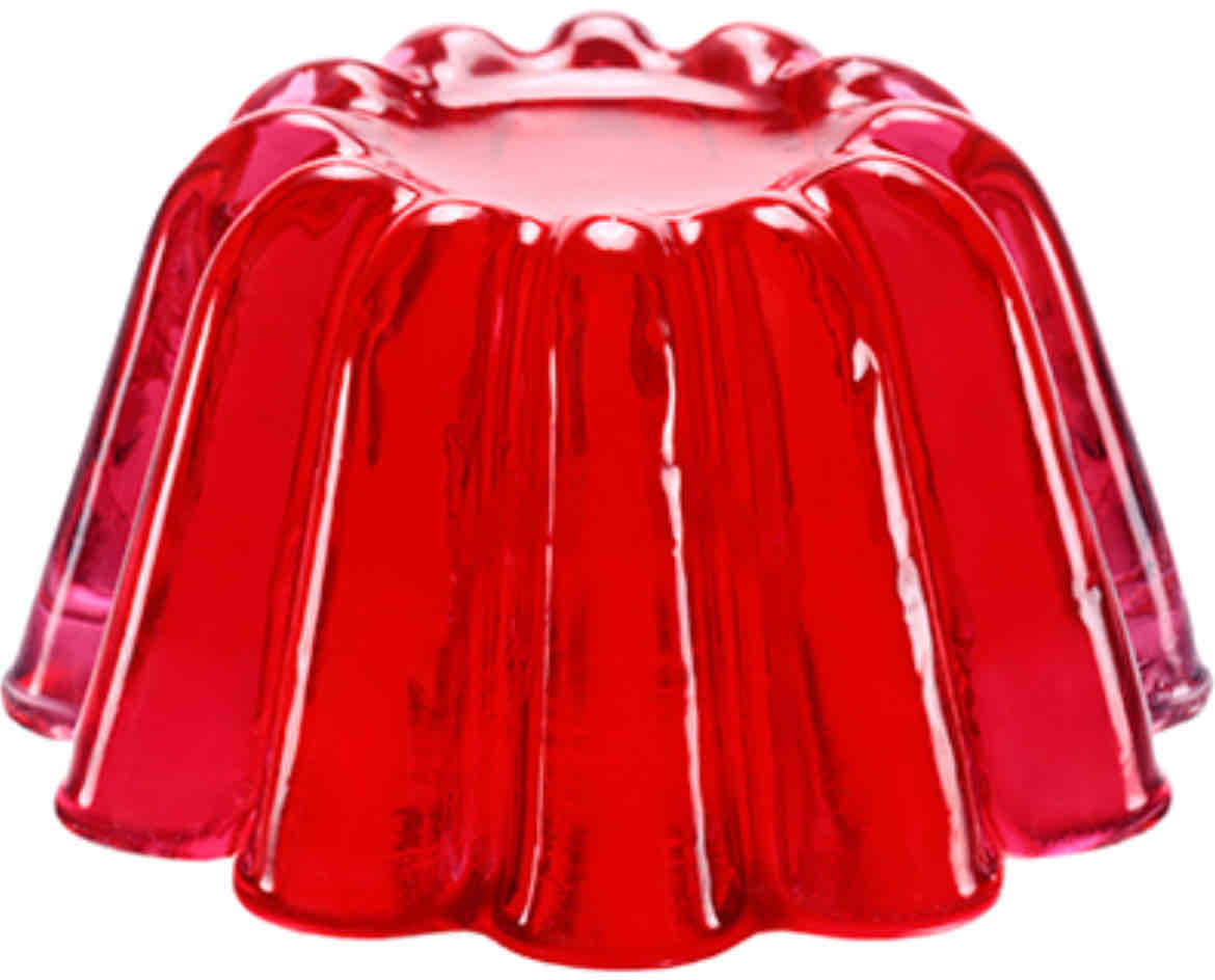 <p>Jelly like substance where chemical reactions take place</p>