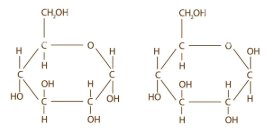 <p>Determine the type of isomerism:</p><p></p>