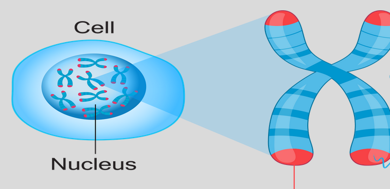 <p>What is this?</p>