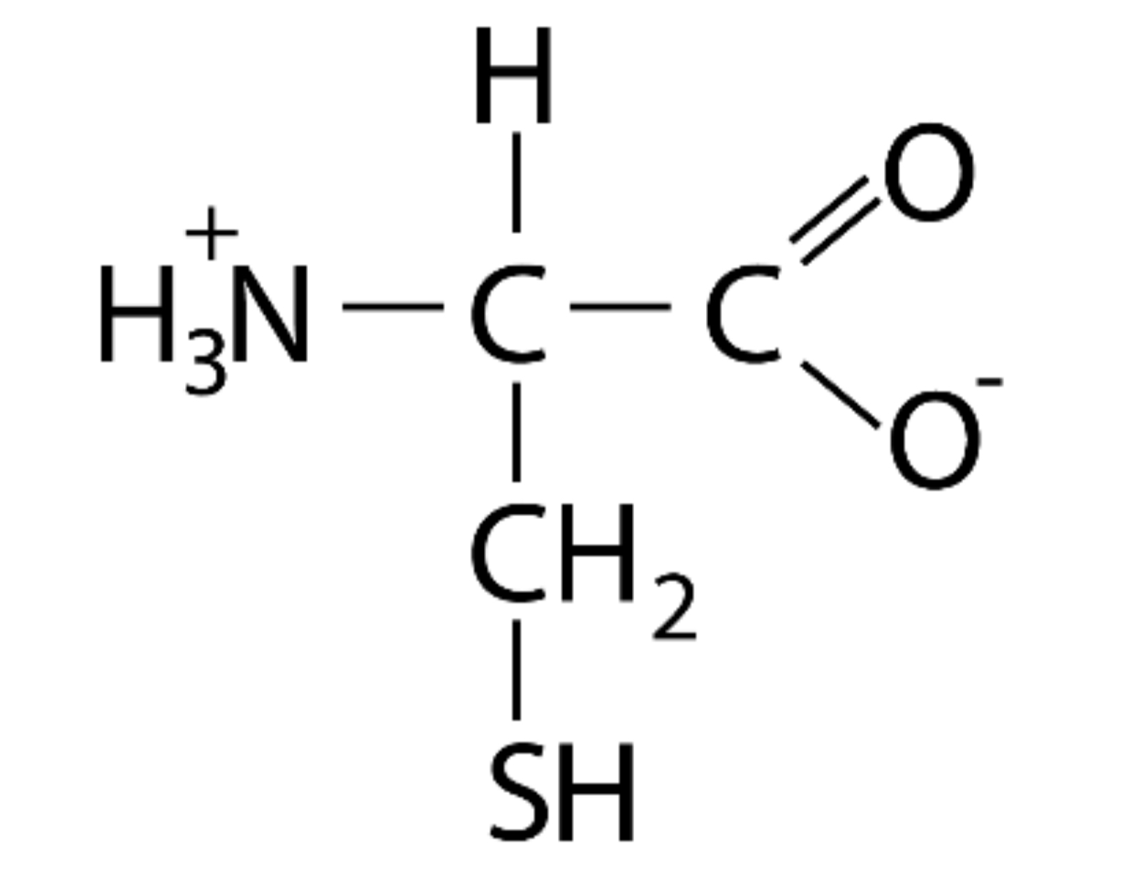 Which one of the following statements about the amino acid (cysteine, at neutral pH) shown below is INCORRECT?

* It has a side chain that can become deprotonated at high pH
* It can be involved in forming covalent bonds that stabilise tertiary structures 
* It is commonly found in beta turns connecting the strands of beta-sheets
* It can be involved in forming a type of post-translational modification 