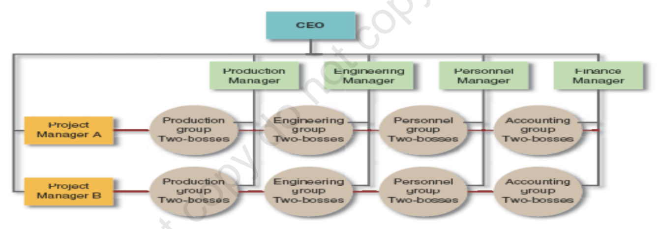 <ul><li><p>specialists from different functional areas are assigned to a project</p></li><li><p>functional and divisional forms overlap</p></li><li><p>managers and staff personnel report to two bosses: a functional manager and a divisional manager</p></li></ul><p></p>