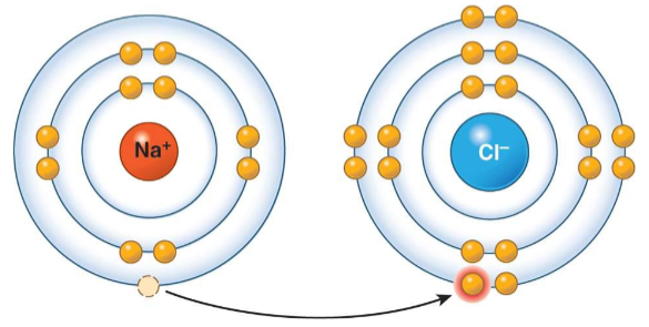 <ul><li><p>It is when an electron transfers to the outer shell of one atom to another.</p></li><li><p>The positively charged ion is attracted to the negatively charged ion, forming an ionic bond.</p></li></ul><p></p>