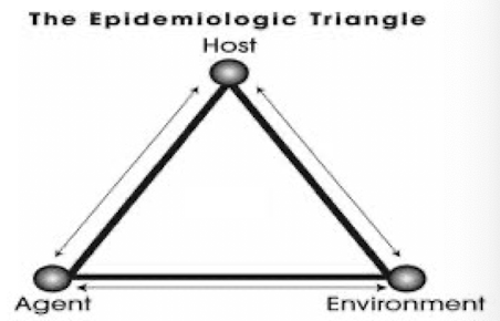 <ol><li><p>Host → Human being that experiences the disaster</p></li><li><p>Agent Factors → Natural or technologic element that causes the disaster</p></li><li><p>Environmental Factors → Could contribute to or mitigate disaster</p></li></ol><p></p>