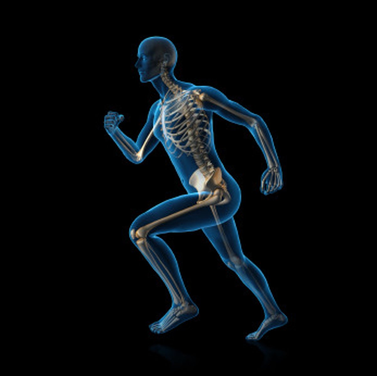 <p>The research and analysis of the mechanics of living organisms. Biomechanics in Human factors includes the research and analysis of the mechanics (operation of our muscles, joints, tendons, etc.) of our human body. It also includes Force (impact on user's joints), Repetition, Duration and Posture.</p>