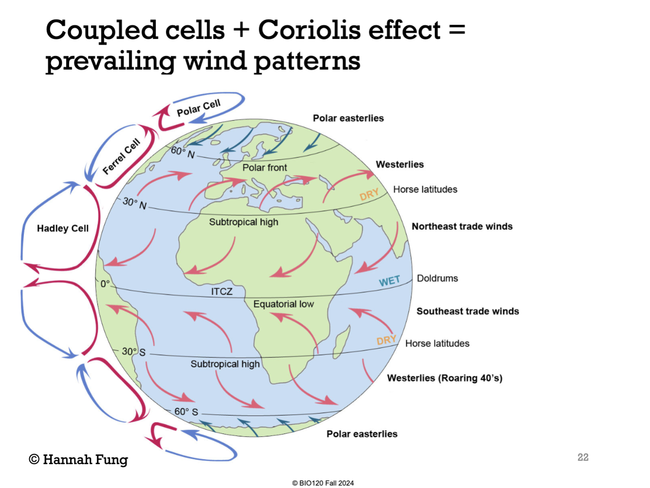 <p>The churning of the ferrel cell sets up a polar cell that churns in the opposite direction of the ferrel cell but in turn, the same direction as the hadley cell, at 60º north and 60º south. </p>
