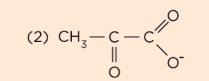 <p>What structure is this?</p>