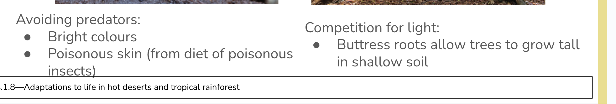 <p><em><u>Poison Dart frog → avoiding predators </u></em></p><ul><li><p><span style="background-color: transparent;"><strong><u><span>Warning coloration </span></u></strong><span>that act as a signal for predators to avoid colored frogs.</span></span></p></li><li><p><span style="background-color: transparent;"><span>Highly </span><strong><u><span>toxic chemicals </span></u></strong><span>in their skin from their diet of toxic insects.</span></span></p></li></ul><p></p><p><span style="background-color: transparent;"><em><u><span>Kapok tree → competition for light </span></u></em></span></p><ul><li><p><span style="background-color: transparent;"><span>Abundant and varied plant growth lead to </span><strong><u><span>competition</span></u></strong><span>.</span></span></p></li><li><p><span style="background-color: transparent;"><strong><u><span>Fast growing</span></u></strong><span> and </span><strong><u><span>very tall</span></u></strong><span> to access to more sunlight.</span></span></p></li><li><p><span style="background-color: transparent;"><span>Strong foundation from </span><strong><u><span>buttress roots</span></u></strong><span> to support rapid growth and very tall trunk with shallow soil.</span></span></p></li></ul><p></p>