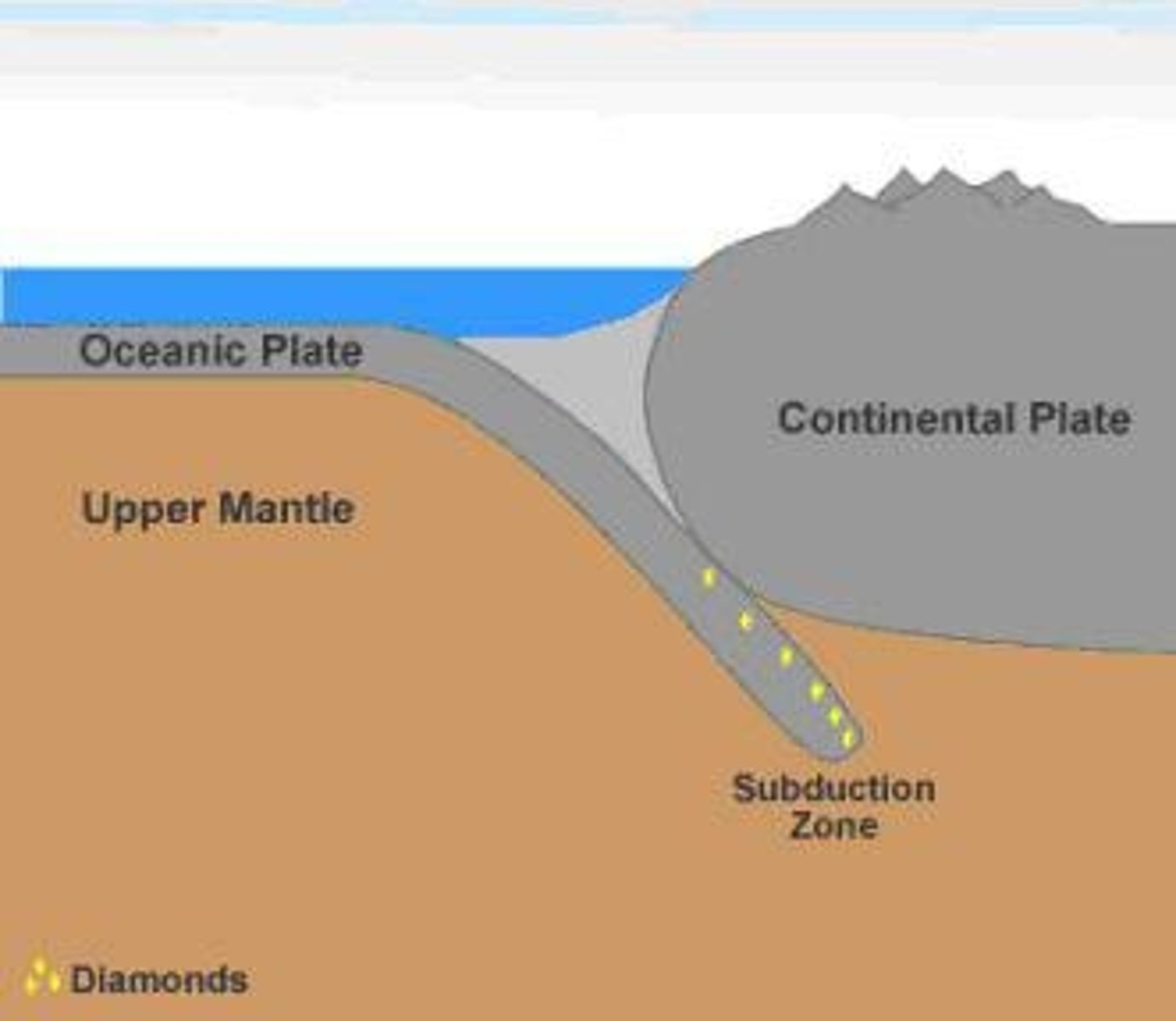 <p>Regions where one tectonic plate moves under another and sinks into the mantle.</p>