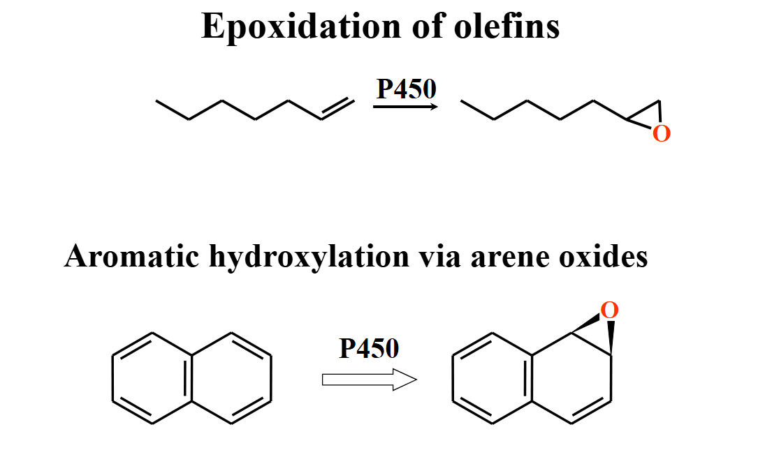 <ul><li><p>undergo ring opening through reactions w nucleophiles </p></li></ul><p></p>