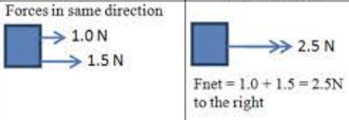 Add the 2 or more forces together, state the number of newtons (including the units) and the direction of the force (as forces are vector quantities).