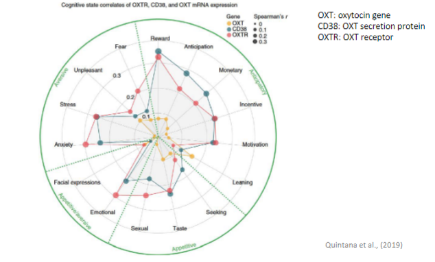 <ul><li><p>expression of OXT and OXT receptors maps into areas involved in anticipatory, appetitive, and aversive cognitive states</p></li></ul>