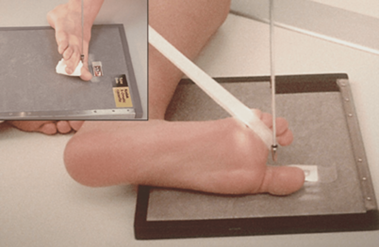 <p>What projection is this?</p>