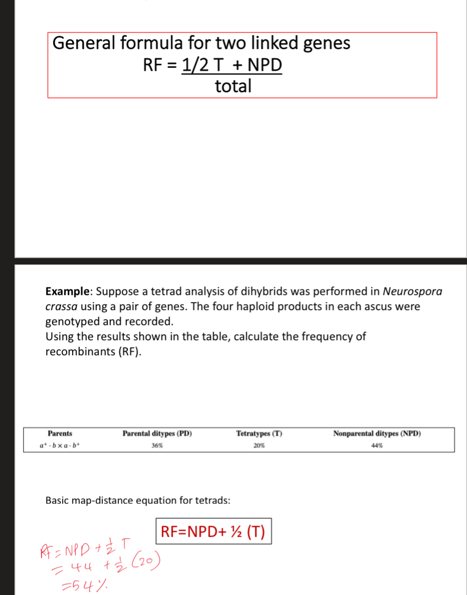 <p>Outcomes</p><ol><li><p>Parental ditypes (PD)</p></li><li><p>Non-parental ditypes (NPD)</p></li><li><p>Tetra types (T)</p></li></ol><p>When calculating RF for haploid organisms use only the recombinant genotypes</p><p>In haploids, the recombinant gametes, the nonparental ditypes (NPD), and half of the tetra types (T) are products of crossover during meiosis</p><p></p>