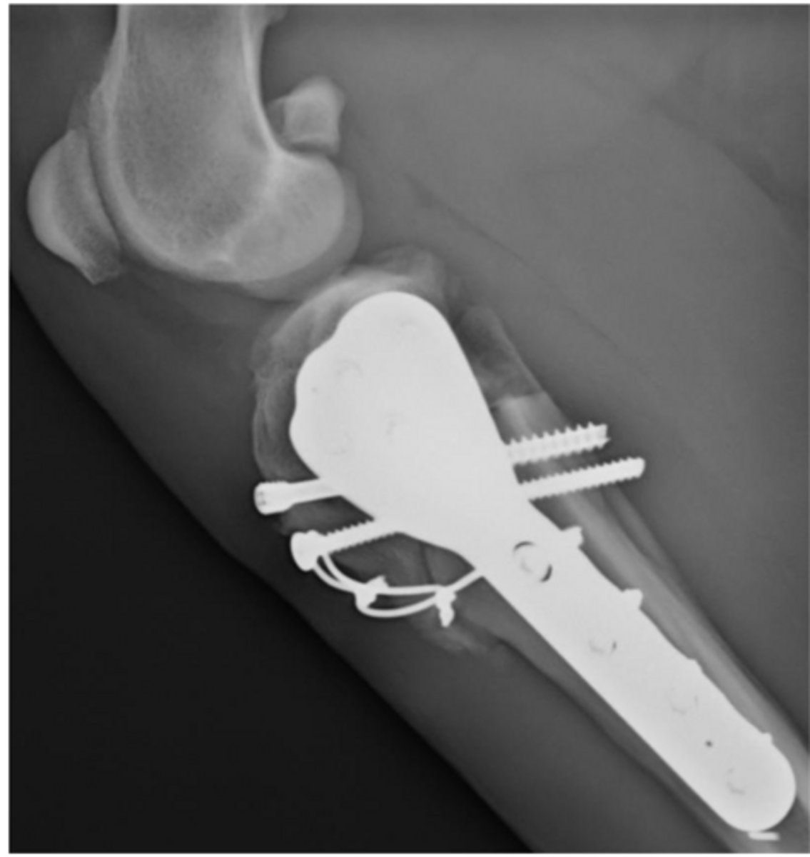 <p>what procedure is shown here</p>