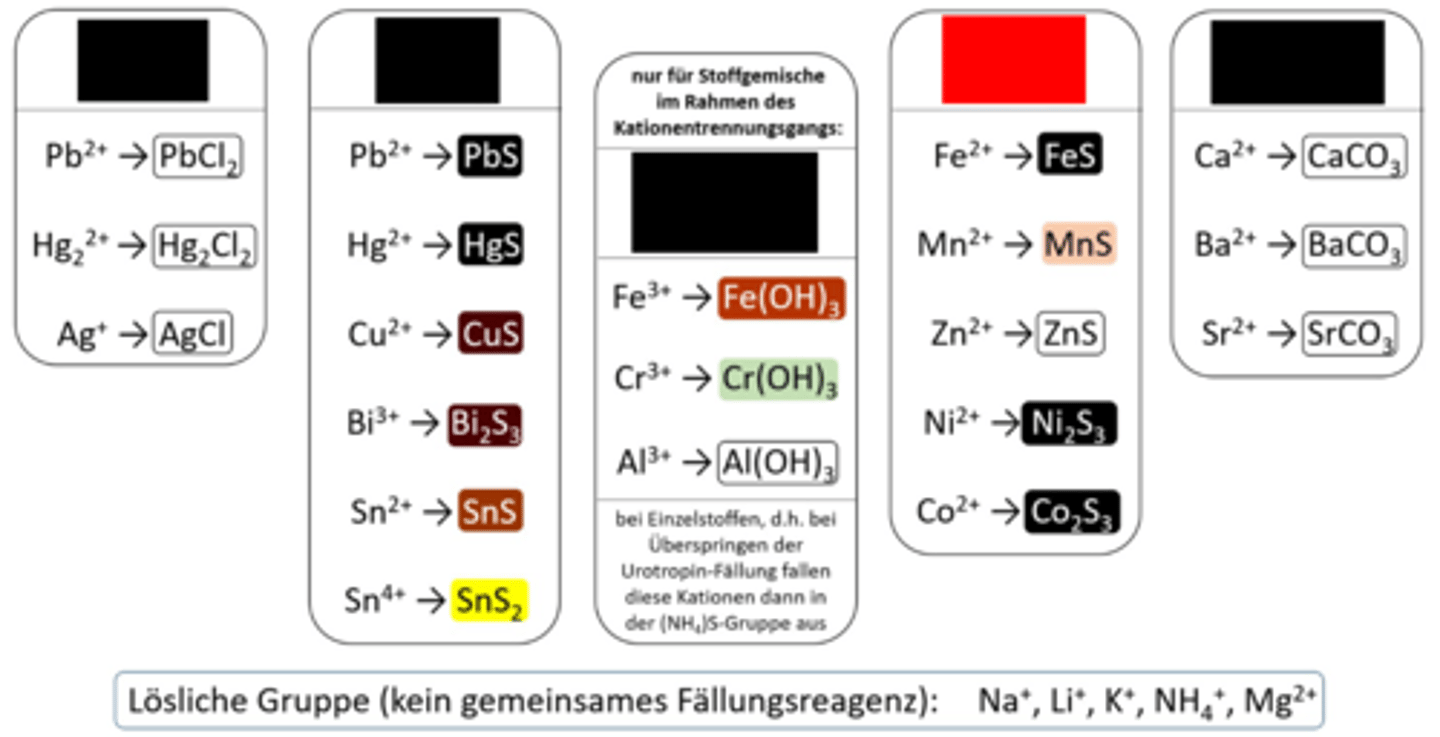 <p>(NH₄)₂S-Fällung, Kationen</p>