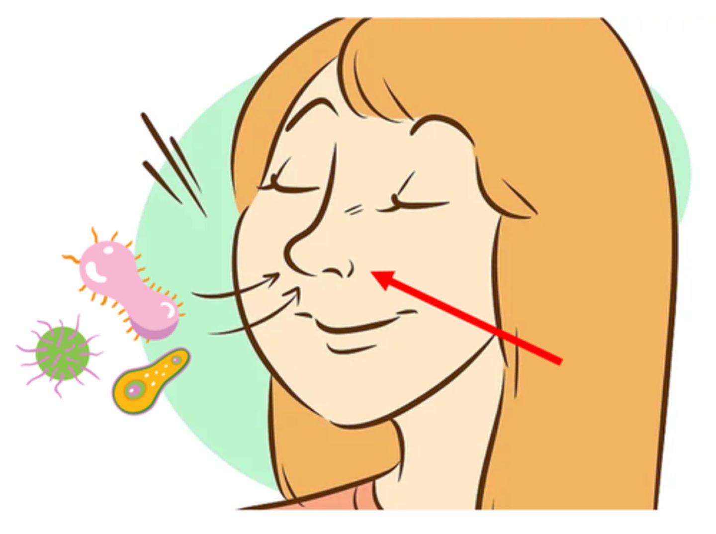 <p>the path used by an infectious agent to enter a susceptible host (chain of infection element #5)</p>