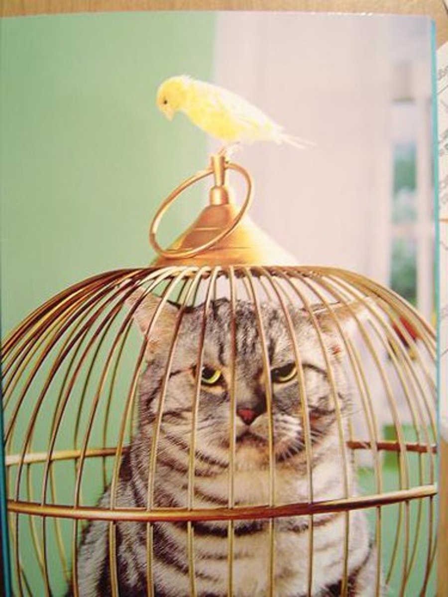 <p>(noun) a repayment; a deserved punishment</p><p>SYNONYMS: recompense, requital, just deserts</p>