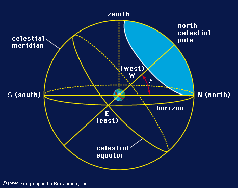 <p>Zenith (directly above an observer on Earth), Celestial Poles, Celestial Equator, Ecliptic</p>