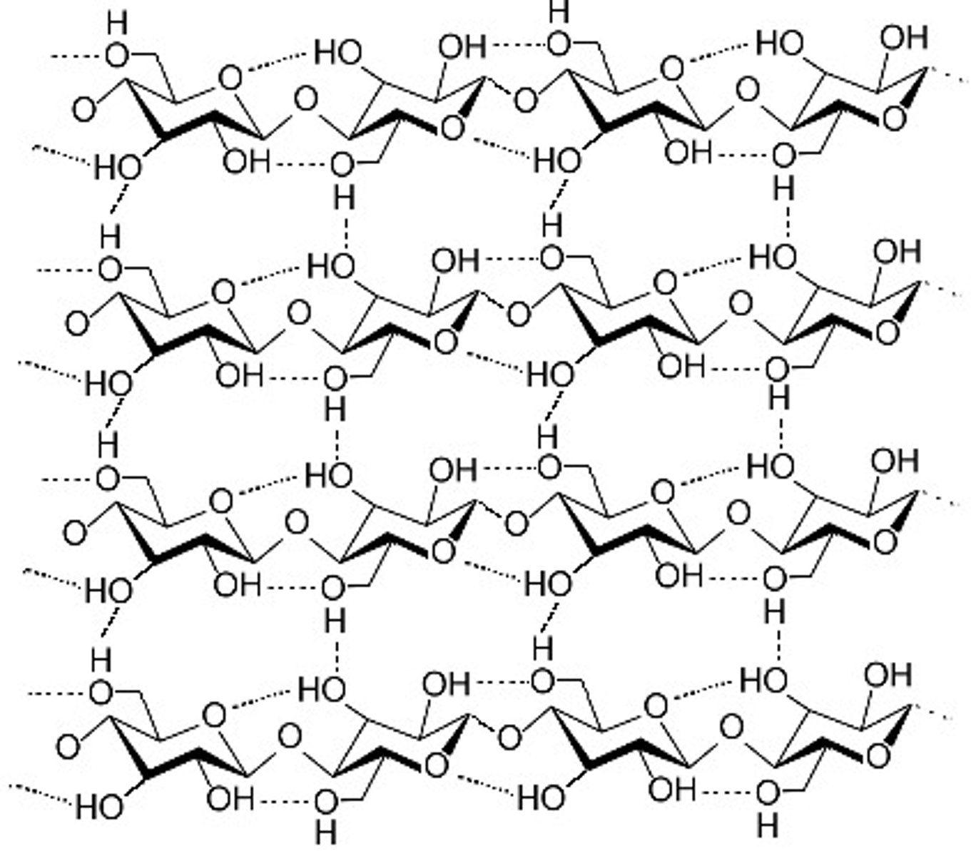 <p>- polysaccharide in cell walls made out of beta glucose<br>- mechanically very strong so has a slow decomposition<br>- 1 to 4 links but in each one beta glucose molecule is inverted<br>-the structure also has many hydogen bonds linking the chains and making microfibrils<br>---&gt; these are why cellulose is so straight and strong</p>